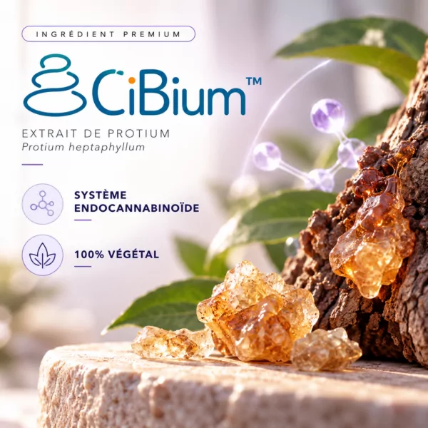 Sommeil Ultima HexaSOM®