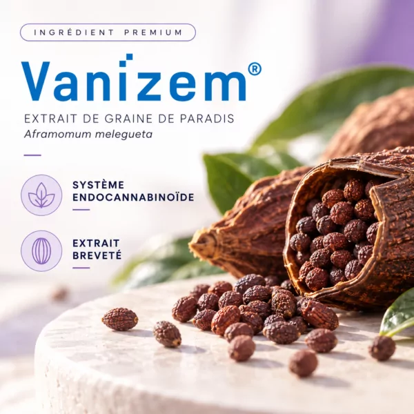 Sommeil Ultima HexaSOM®