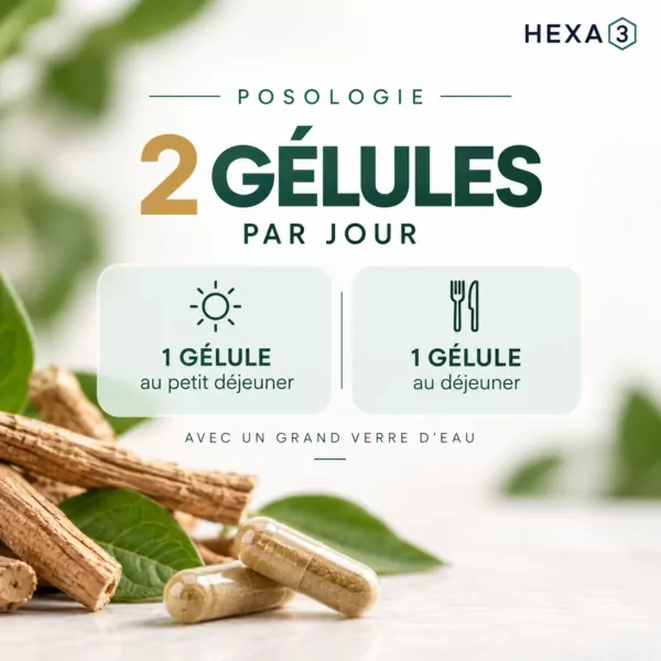 Ashwagandha Shoden® HexaPURE®