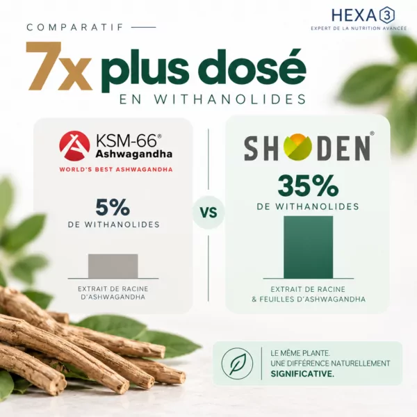 Ashwagandha Shoden® HexaPURE®