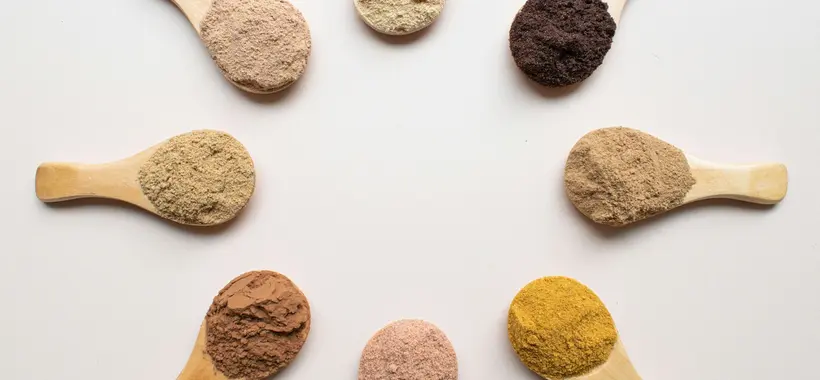 Huit cuillères en bois garnies de poudres végétales de couleurs différentes, disposées en cercle