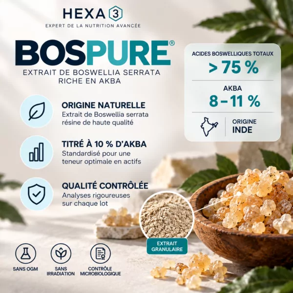 Mobilité Ultima HexaFLEX®
