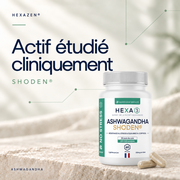 Ashwagandha Shoden® HexaPURE® · photo 7