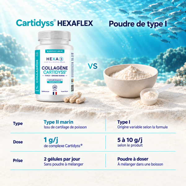 Collagène Marin Français Cartidyss® HexaFLEX® · photo 2