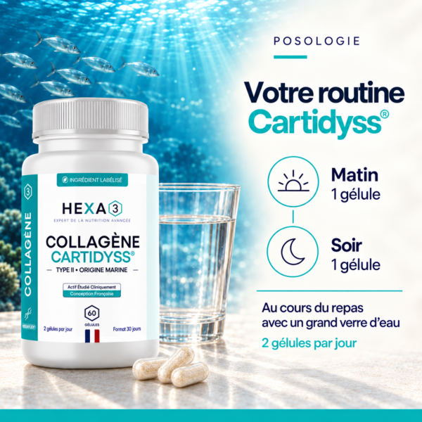 Collagène Marin Français Cartidyss® HexaFLEX® · photo 6